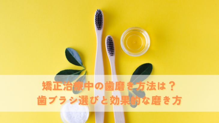 矯正治療中の歯磨き方法は？歯ブラシ選びと効果的な磨き方