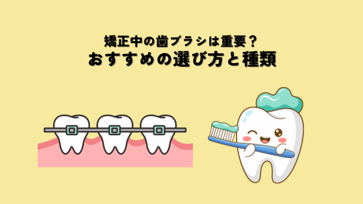 矯正中の歯ブラシは重要？おすすめの選び方と種類を解説！